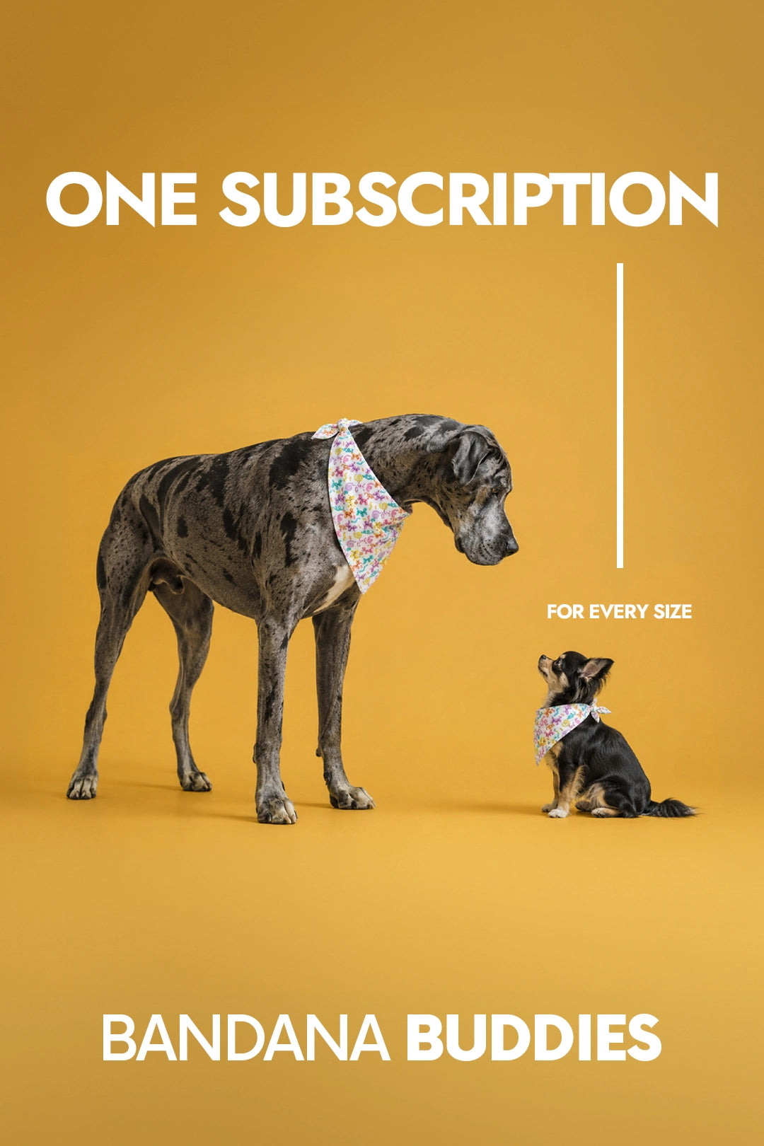 Bandana Buddies monthly bandana subscription for professional pet groomers