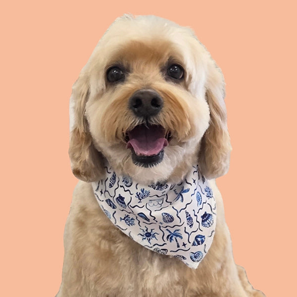 Dog Bandanas