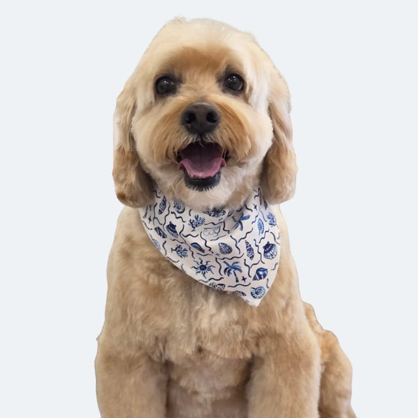 Dog Bandanas