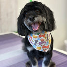 Dog wearing a colorful bandana with bone patterns
