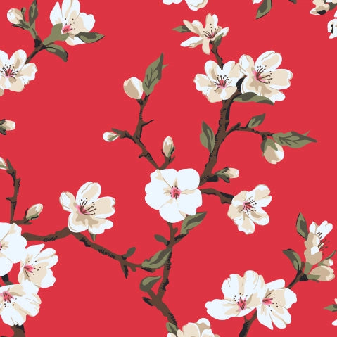 Cherry Blossom