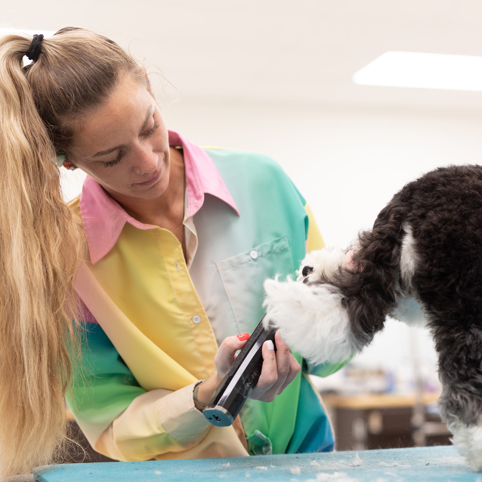 pretty pet grooming smock