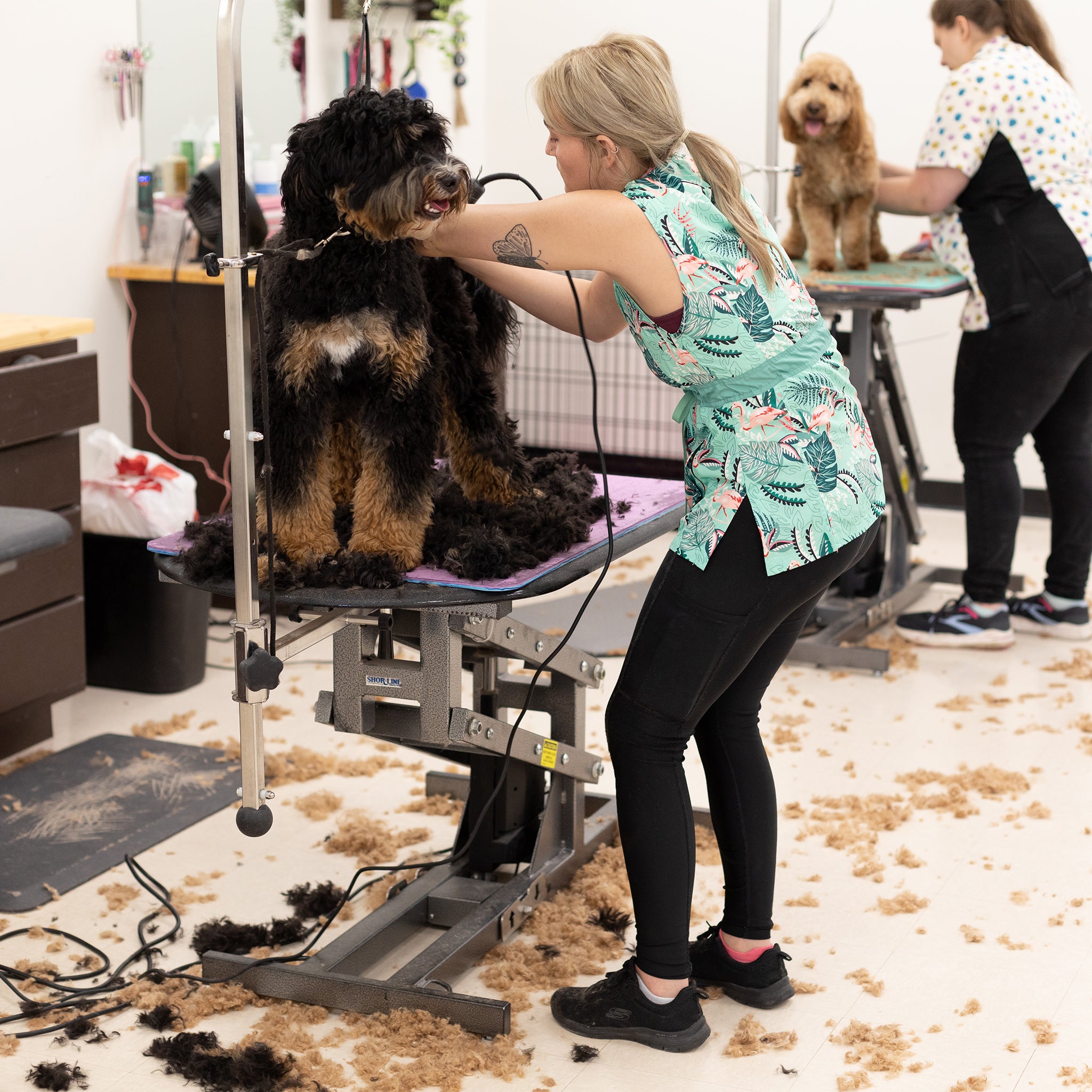 Dog groomer pants best sale