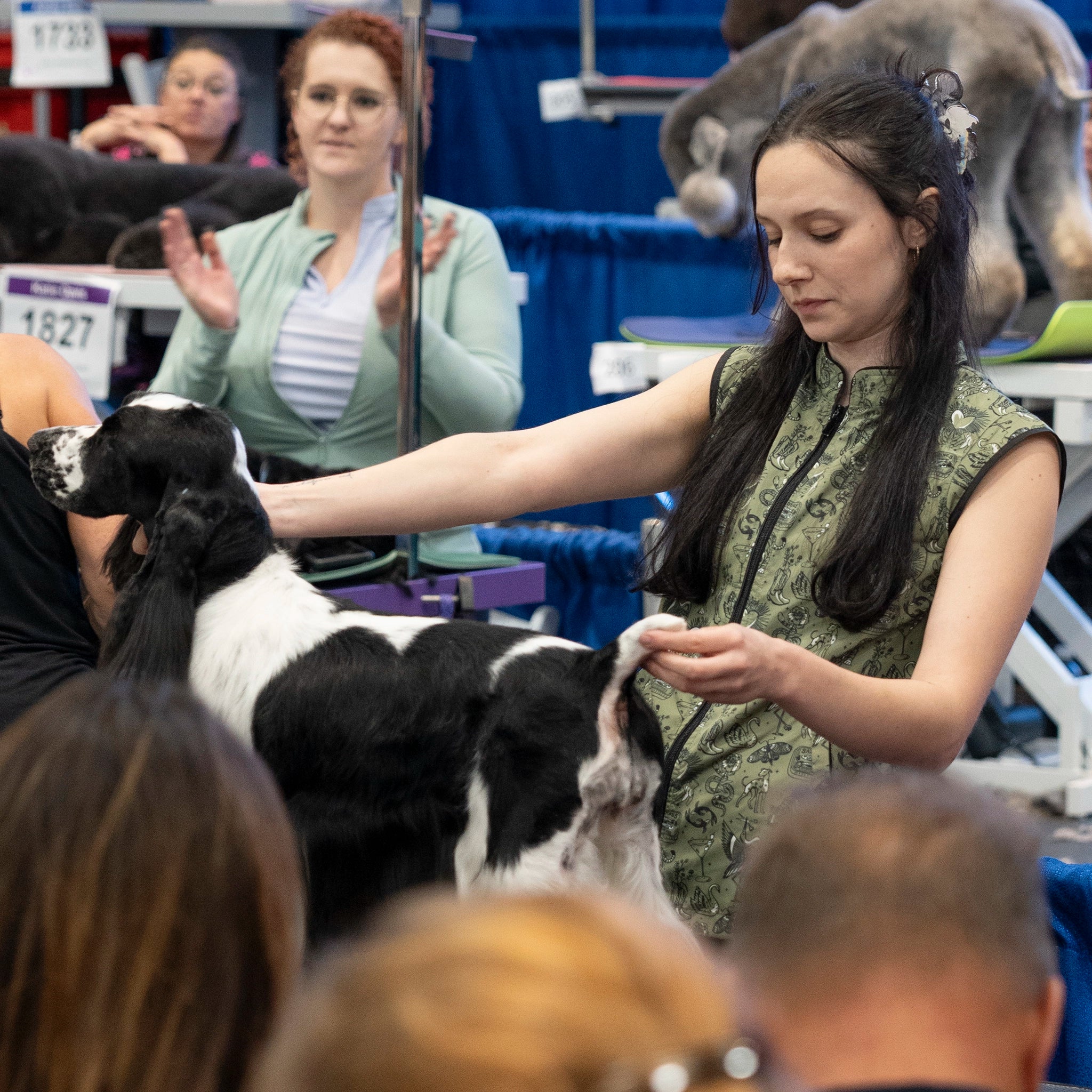dog grooming smock