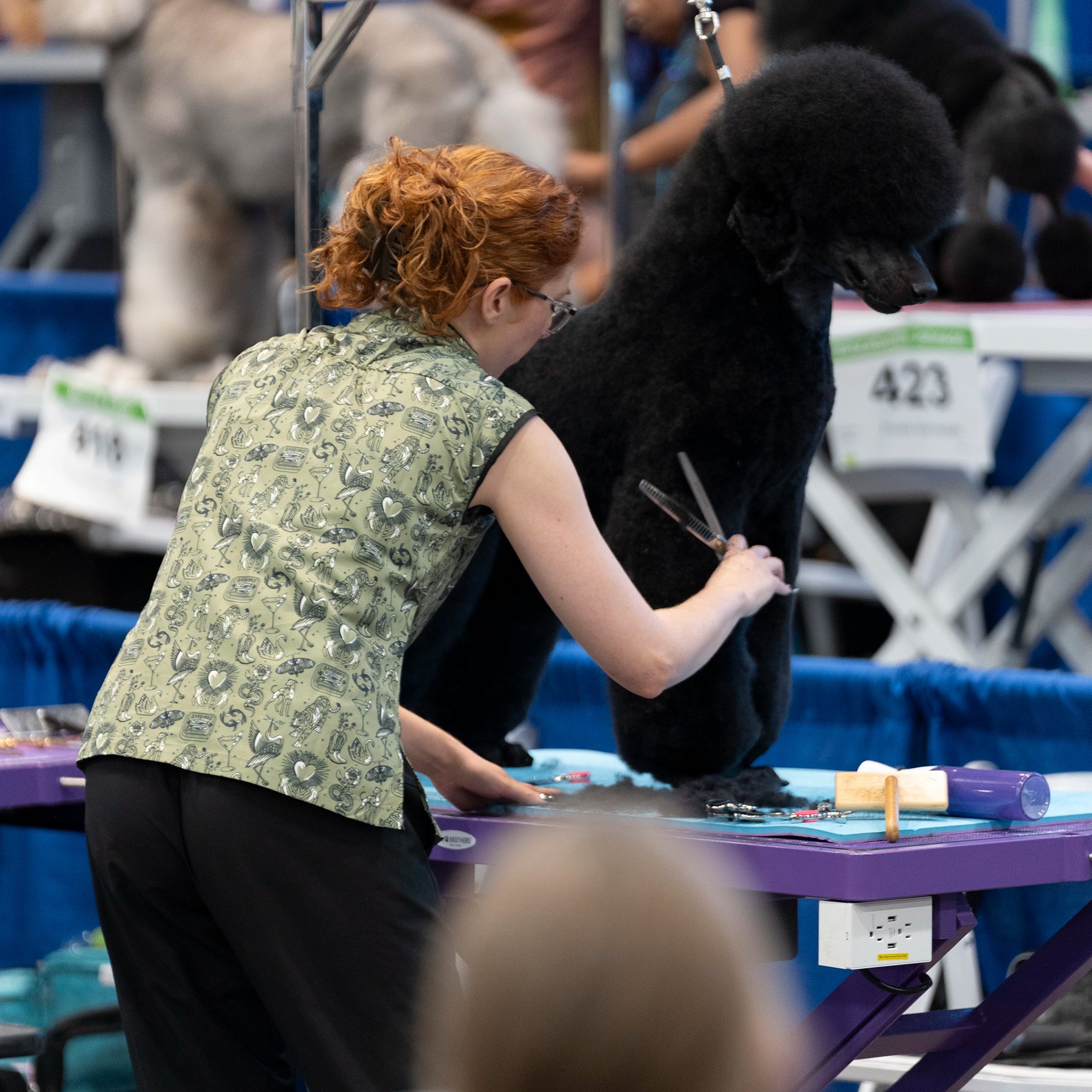 Person grooming a black dog at a dog show in cute dog grooming smock