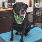 Black dog wearing a green bandana sitting on a blue surface with a blurred background