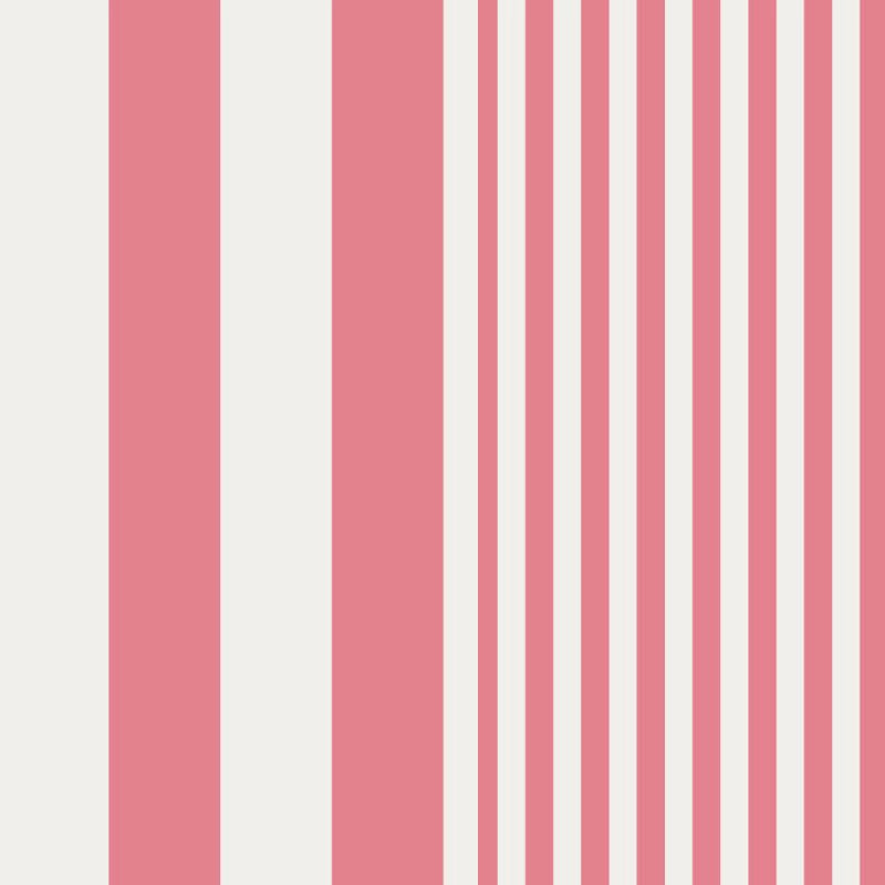Pink Stripe