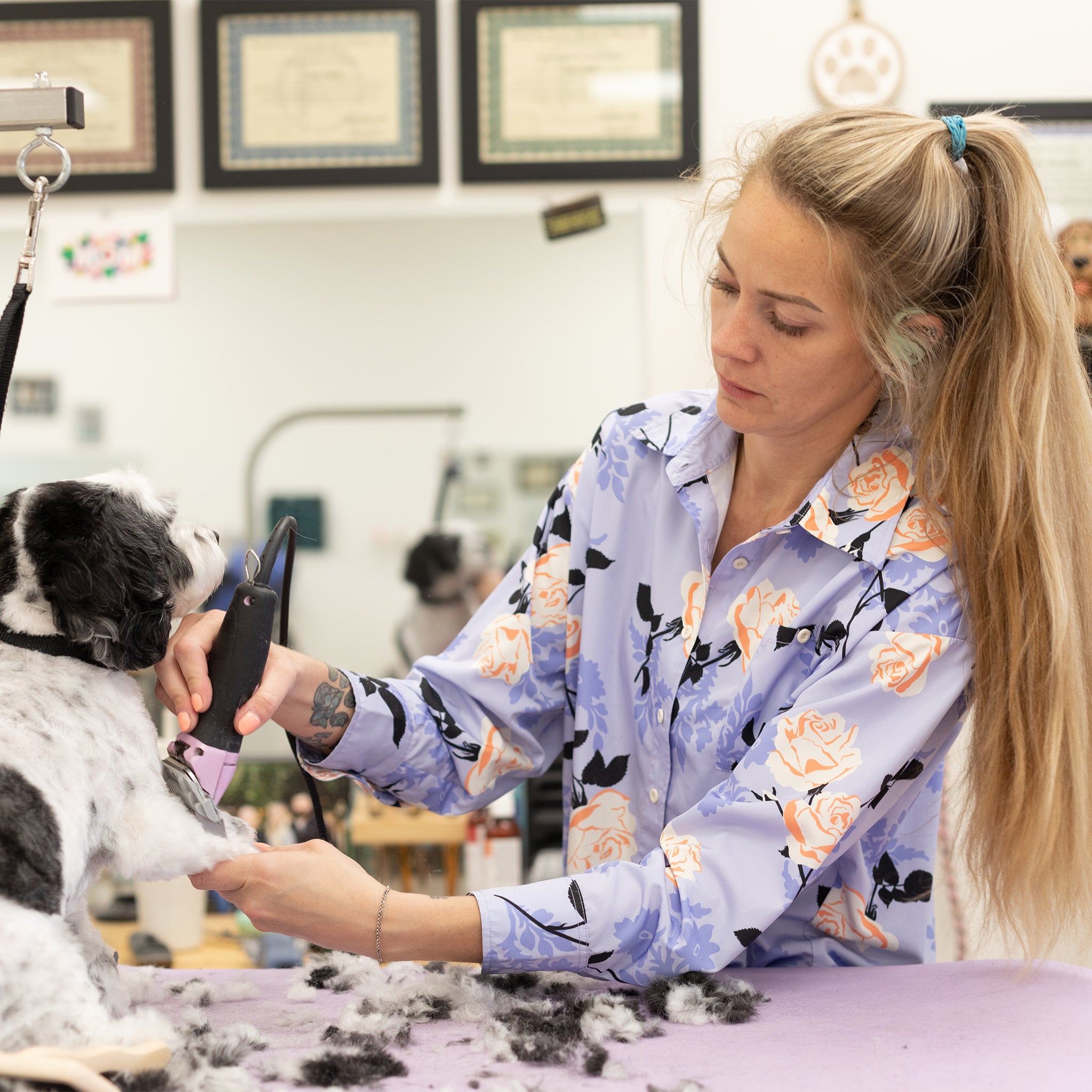 Pet Grooming Apparel - Smocks, Aprons, Pants & Accessories – Retro ...