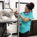 Harper