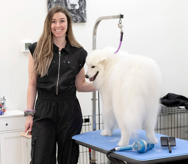 Groomer in Retro Stylist Wear's pet hair resistant and water resistant black Lana jumpsuit