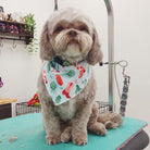 dog with western bandana print