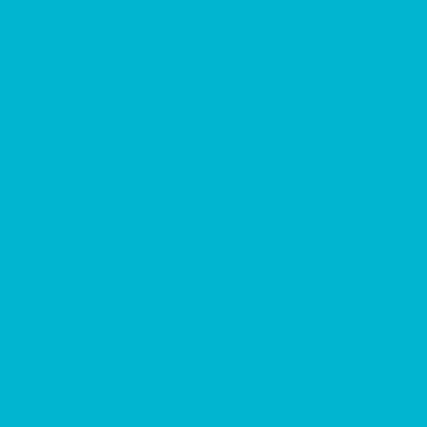 Jodi Murphy Turquoise